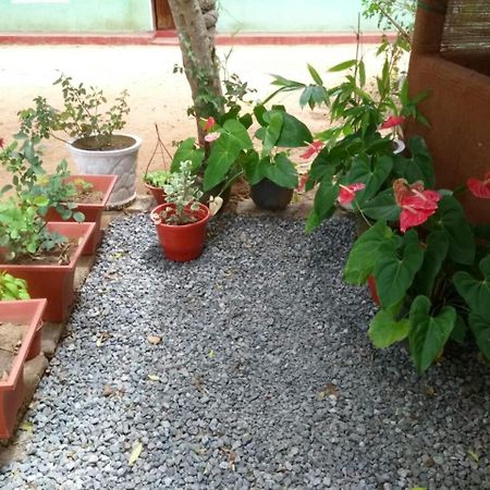 Pawansa Home Stay Habarana Exterior foto